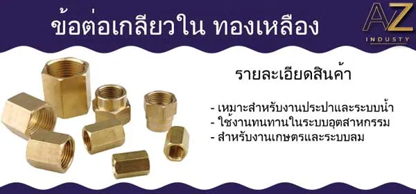 ข้อลดเกลียวใน ม.ม. ทองเหลือง